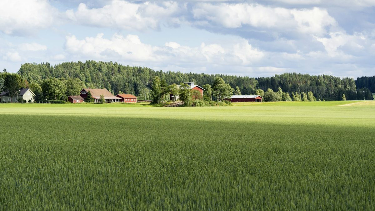 Fields of Mistria sasniedz 1.0 pēc diviem gadiem Early Access: laulības, bērni un pabeigts stāsts
