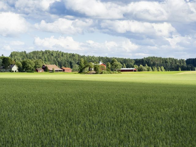 Fields of Mistria sasniedz 1.0 pēc diviem gadiem Early Access: laulības, bērni un pabeigts stāsts