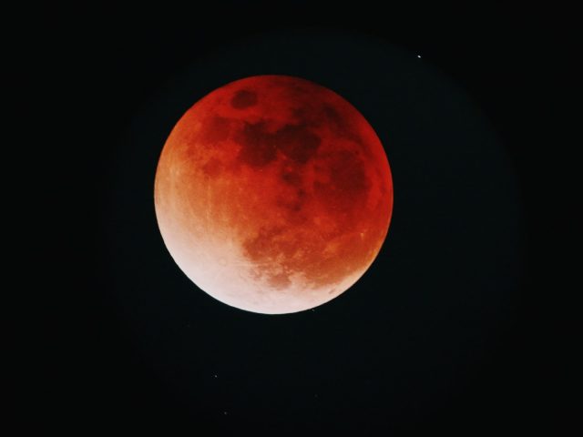 Vampire Survivors dabū astoto papildinājumu par 99 centiem: Legacy of the Bloodmoon dod vairāk nekā 10 varoņu